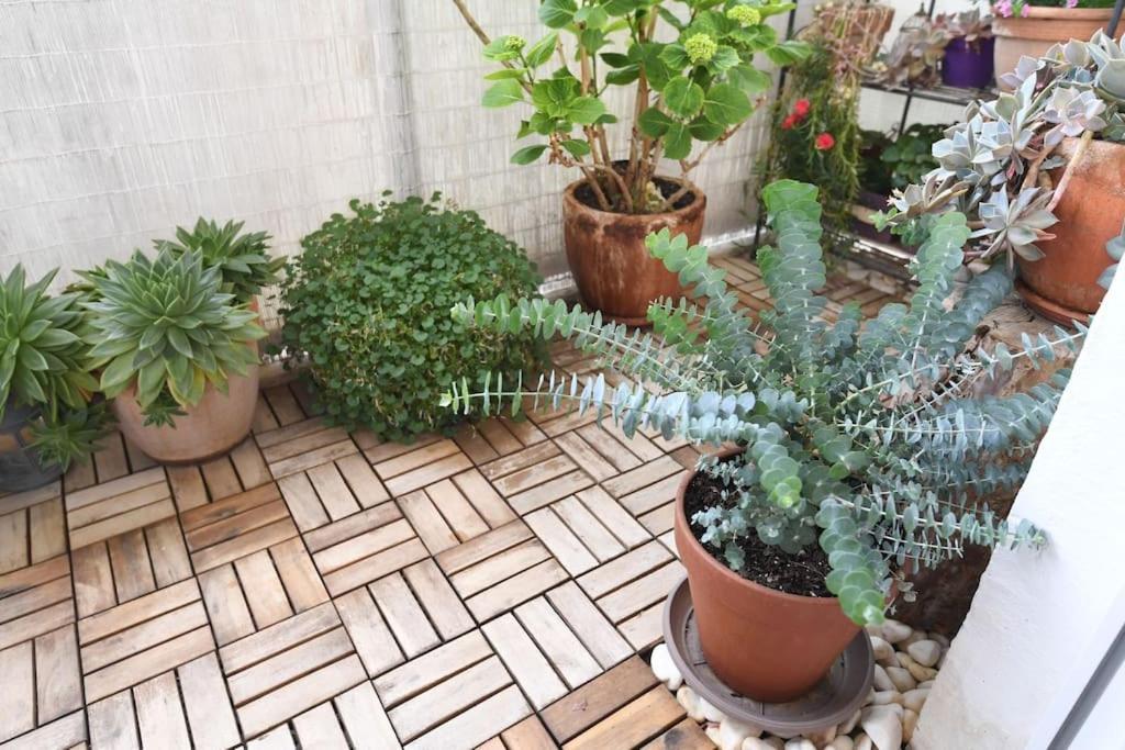 Apartman Ilijana Zadar Luaran gambar