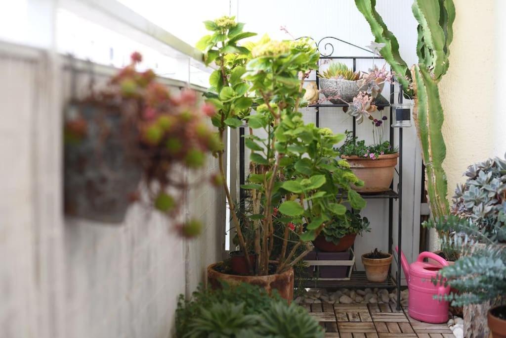 Apartman Ilijana Zadar Luaran gambar